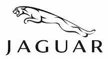 Auto Enginuity - Auto Enginuity Scan Tool, Jaguar Enhanced Interface Expansion (EI11)