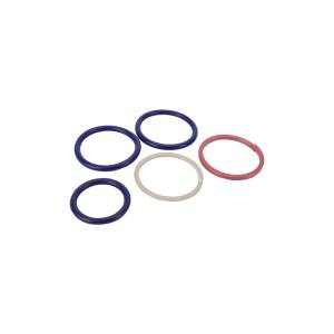 Alliant Power - Alliant Power External O-Ring Kit - C7-C9 HEUI, DPS0044