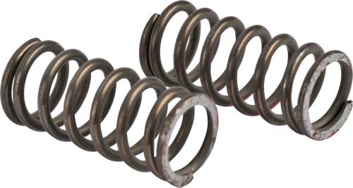 Alliant Power - Alliant Power MVS Governor Spring (PK 2), D109690