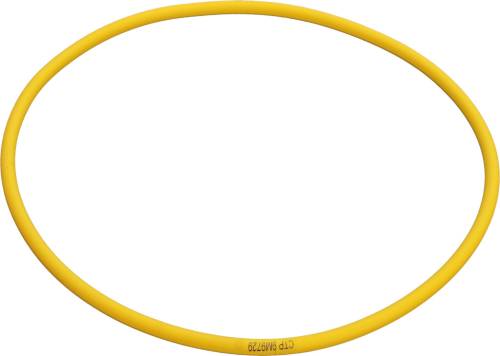 Alliant Power - Alliant Power O-Ring, D9M9729