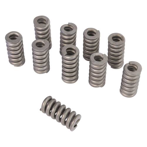 Alliant Power - Alliant Power Nozzle Spring Celect (PK 10), RTF26101