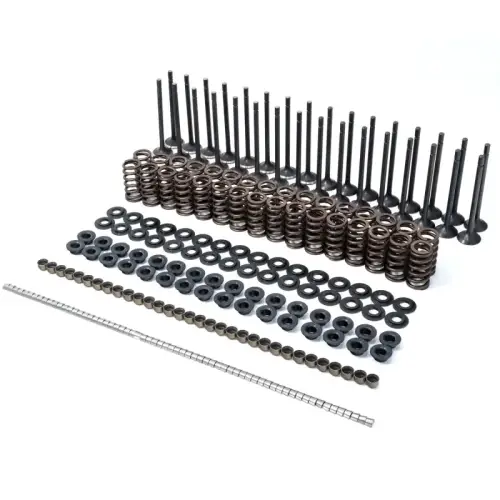 Pacific Performance Engineering - PPE Valve and Conical Spring Kit for Chevy/GMC (2001-16) 2500HD/3500HD 6.6L Duramax