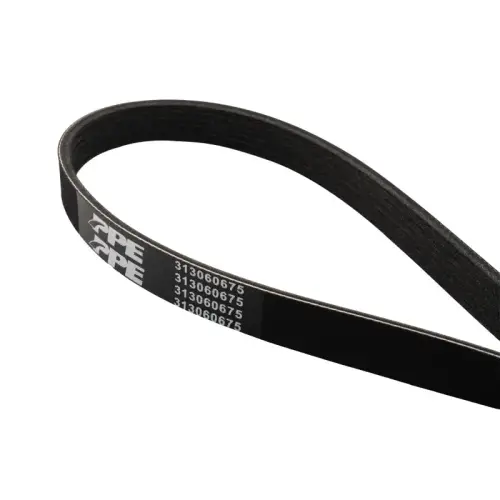 Pacific Performance Engineering - PPE High-Performance Heavy-Duty Serpentine Belt for Ford (2013-23) 5.0L/5.2L Mustang