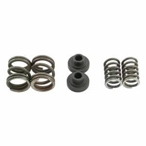 Industrial Injection - Industrial Injection 3000 Governor Spring Kit