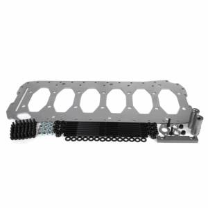 Industrial Injection - Industrial Injection 14Mm Gorilla Girdle W/ Arp XL Main Studs for Dodge/Ram (1994-02) 5.9L 12-24V Cummins (Requires Stamp Oil Pan)