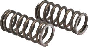 Alliant Power MVS Governor Spring (PK 2), D109690