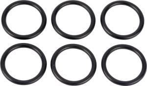 Alliant Power O-Ring Dust Seal (PK 6), D41512