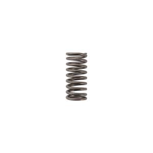 Alliant Power - Alliant Power Plunger & Barrel Spring, D9N5862 - Image 2