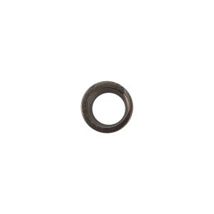 Alliant Power - Alliant Power Plunger & Barrel Spring, D9N5862 - Image 3