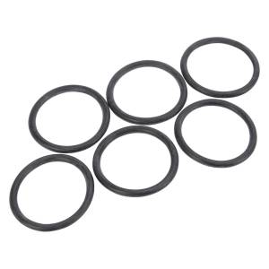 Alliant Power Injector O-Ring (PK 6), DJ913994