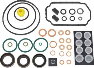 Alliant Power Bosch/Denso/Zexel VE Overhaul Kit, DPE60209