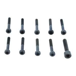 Alliant Power Armature Screw (HEUI) (PK 10), DPS0010