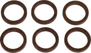 Alliant Power CR Injector Seal Ring (PK 6), RTF25140