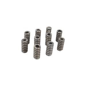Alliant Power - Alliant Power Series 60 Nozzle Spring (PK 10), RTF26232 - Image 1