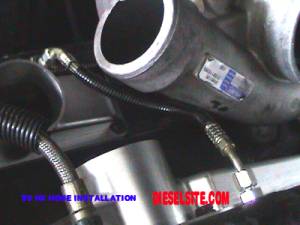 DieselSite - DieselSite High Pressure Oil Crossover Line for Ford (1994-97) 7.3L Power Stroke - Image 2