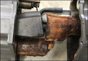 DieselSite - DieselSite Outboard Fuel Filter Water Separator - Image 3