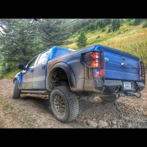 Iron Bull Bumpers - Iron Bull Rear Bumper for Ford (2010-14) Raptor, Parking Sensor Cutouts Available - Image 2