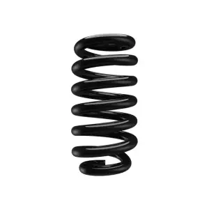 Mopar - Mopar Front Coil Spring Kit for Ram (2019-26) 1500 (Front) - Image 3