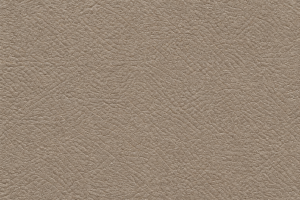 Color Bond - Colorbond Leather, Plastic, And Vinyl Refinisher, 121 Medium Parchment 12oz. (Ford 99.5-05 code P or H) - Image 2