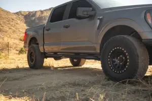 DV8 Offroad - DV8 Offroad OE Plus Side Steps for Ford (2015-26) F-150 Crew Cab & Raptor - Image 6