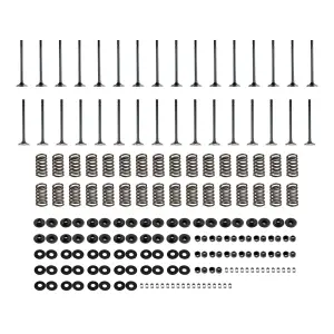 PPE Valve and Spring Kit for Chevy/GMC (2001-16) 2500HD/3500HD 6.6L Duramax