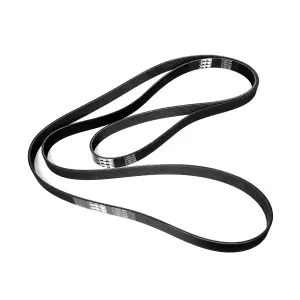 Pacific Performance Engineering - PPE Single Alternator and A/C - Serpentine Belt for Dodge/Ram (2003-12) 5.9L/6.7L Cummins - Image 1