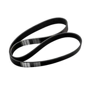 Pacific Performance Engineering - PPE 10PK1454 - Serpentine Belt for Dodge/Ram (2015-24) 6.2L Challenger/Charger Supercharged - Image 2
