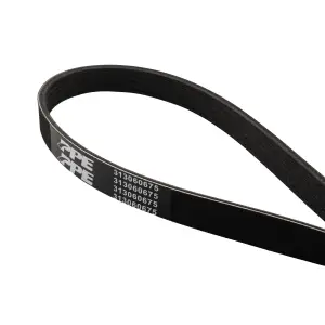 Pacific Performance Engineering - PPE High-Performance Heavy-Duty Serpentine Belt for Ford (2013-23) 5.0L/5.2L Mustang - Image 1