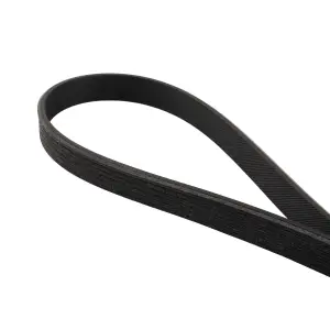 Pacific Performance Engineering - PPE High-Performance Heavy-Duty Serpentine Belt for Ford (2013-23) 5.0L/5.2L Mustang - Image 2