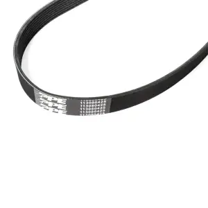 Pacific Performance Engineering - PPE 8 Rib Fan Belt for Chevy/GMC (2020-26) 6.6L Duramax L5P (1080MM) - Image 1