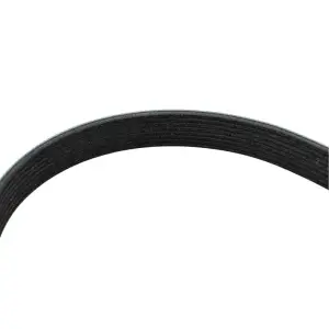 Pacific Performance Engineering - PPE 8 Rib Fan Belt for Chevy/GMC (2020-23) 6.6L Duramax L5P (1063MM) - Image 2