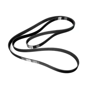 Pacific Performance Engineering - PPE Single Alternator and A/C - Serpentine Belt for Dodge/Ram (2003-12) 5.9L/6.7L Cummins - Image 1
