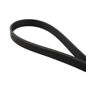 Pacific Performance Engineering - PPE High-Performance Heavy-Duty A/C Serpentine Belt for Ford (2011-23) 5.0L/5.2L Mustang - Image 2