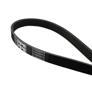 Pacific Performance Engineering - PPE High-Performance Heavy-Duty Serpentine Belt for Ford (2013-23) 5.0L/5.2L Mustang - Image 1